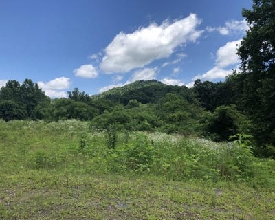 /international/us/2251-s-highway-421-manchester-ky-110109131906/