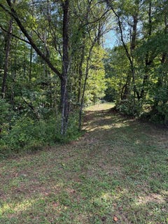 /international/us/oakville-road-gladstone-va-110110169189/