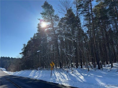 /international/us/10934-harlow-rd-road-darien-ny-110105506788/