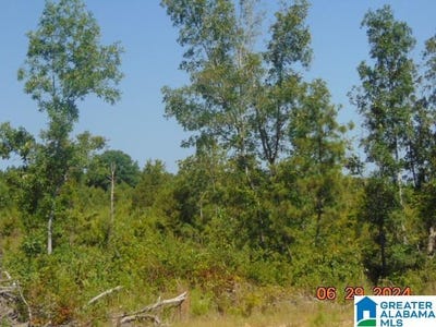 /international/us/0-county-road-447-verbena-al-110092958772/?lang=zh-cn