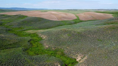 /international/us/tbd-county-road-29-craig-co-110099849462/