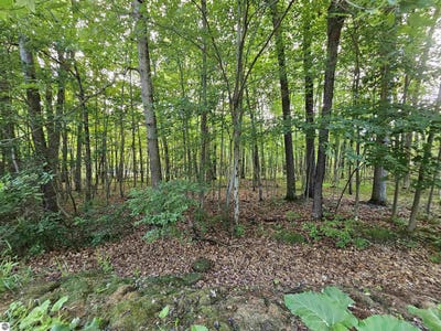 /international/us/lot-6-jose-lake-drive-south-branch-mi-110101001044/