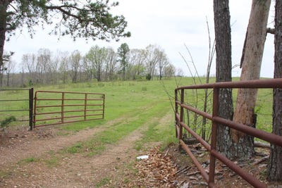 /international/us/001-08184-000-n-hwy-125-yellville-ar-110096763537/