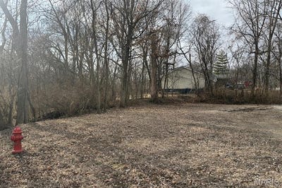 /international/us/313-park-street-troy-il-110105047771/