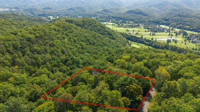 /international/us/dogwood-trail-white-sulphur-springs-wv-110120553753/