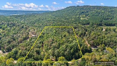 /international/us/7-acres-off-quicker-still-lane-dover-ar-110110259538/