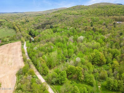 /international/us/l11-sternberg-road-jefferson-ny-110106725283/