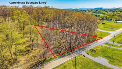 /international/us/0-67-acres-shutterlee-mill-rd-staunton-va-110107289618/