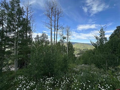 /international/us/162-double-diamond-drive-durango-co-110100746195/