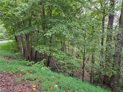 /international/us/waterside-drive-lake-lure-nc-110106239821/
