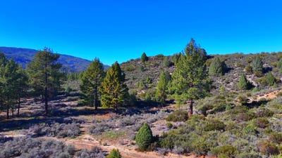 /international/us/1-butterfly-peak-road-mountain-center-ca-110104872156/