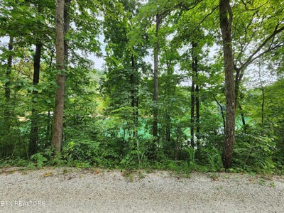 /international/us/carp-lane-lafollette-tn-110101358131/?lang=zh-cn