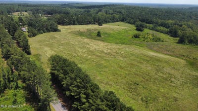 /international/us/3-county-road-347-philadelphia-ms-110102376996/