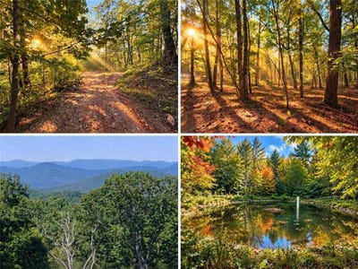/international/us/14-06-old-burnt-mountain-road-ellijay-ga-110120124138/