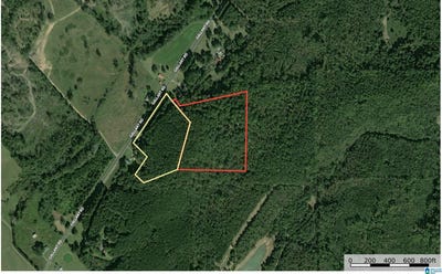 /international/us/gallant-road-lot-17-6-acres-gallant-al-110102819992/