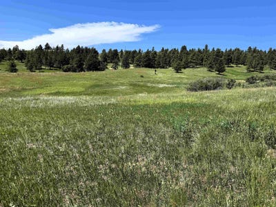 /international/us/11-tower-ridge-drive-devils-tower-wy-110099094460/?lang=zh-tw