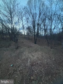 /international/us/lost-run-levels-wv-110106467747/