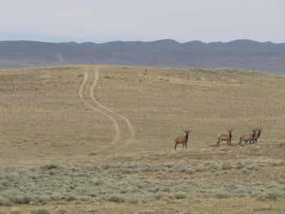 /international/us/shamrock-road-rawlins-wy-110107955164/