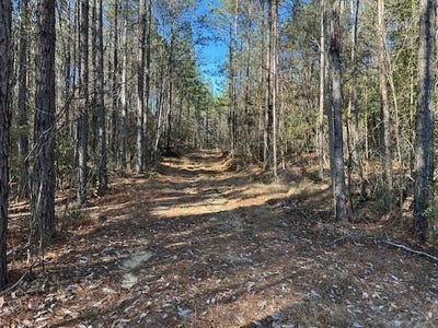 /international/us/chicora-river-rd-waynesboro-ms-110104903202/