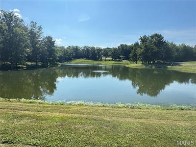 /international/us/lakeside-lot-1-hickory-creek-east-drive-washington-mo-110106060267/