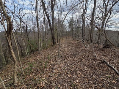 /international/us/map-105-80-00-039-00-d-street-louisa-ky-110104949710/