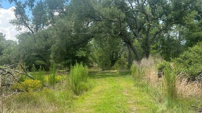 /international/us/4336-jody-morgan-rd-steinhatchee-fl-110108931121/