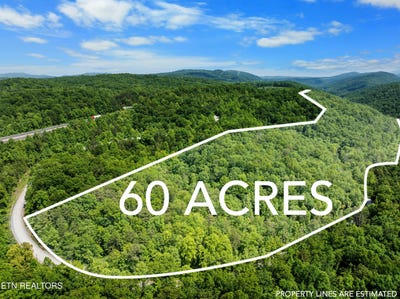/international/us/stinking-creek-61-acres-rd-pioneer-tn-110100028266/