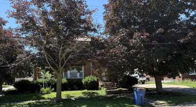 /international/us/401-west-2nd-avenue-monmouth-il-110106346310/