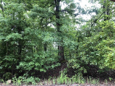 /international/us/goti-drive-cherokee-village-ar-110120412500/