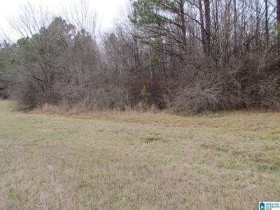 /international/us/highway-280-lot-1-harpersville-al-110082244221/
