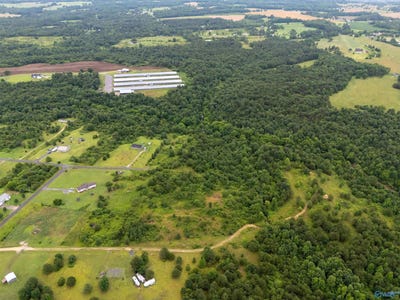 /international/us/61-county-road-1957-rainsville-al-110100501562/?lang=zh-tw