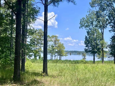 /international/us/eagle-brook-drive-lot-4-lewisville-ar-110101866133/
