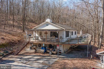 /international/us/37-roaring-creek-preserve-forest-catawissa-pa-110098032900/