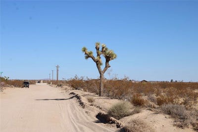 /international/us/3465-porter-boulevard-joshua-tree-ca-110101436241/