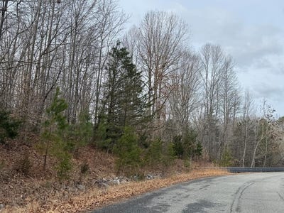 /international/us/w-lockett-creek-blvd-lot-11-pamplin-va-110105955320/
