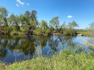 /international/us/573-cr-154-cedar-lane-tx-110101191659/