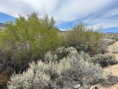 /international/us/740-chiatovich-creek-road-dyer-nv-110099827696/