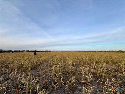 /international/us/366-county-road-123-buckholts-tx-110104223450/