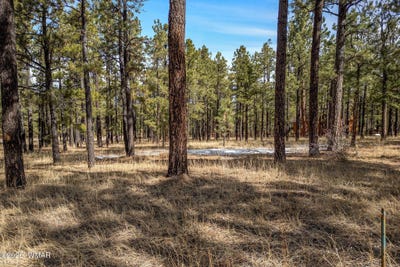 /international/us/3-n1062-greer-az-110098208185/