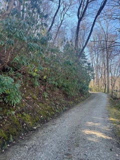 /international/us/mt-tabor-lot-3-topton-nc-110104577004/