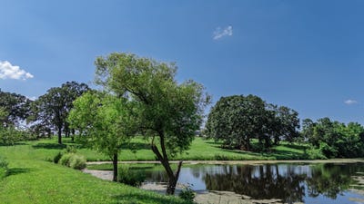 /international/us/19488-s-1475-road-stockton-mo-110098045559/