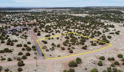 /international/us/8542-airport-white-mountain-lake-az-110104219801/
