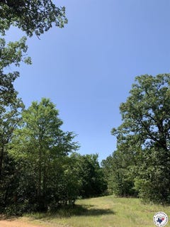 /international/us/40-acres-pr-1187-texarkana-ar-110101358947/?lang=zh-tw