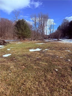 /international/us/cr-16-beaver-dams-ny-110106102829/
