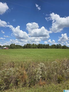 /international/us/highway-31-lot-0-jemison-al-110109050759/