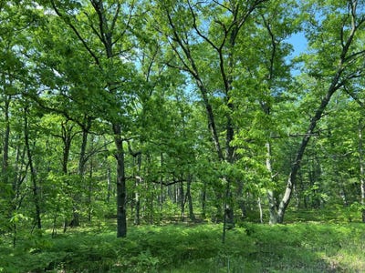 /international/us/hill-view-reed-city-mi-110100765029/?lang=zh-tw