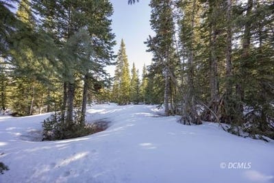 /international/us/1031-e-meadow-dr-brian-head-ut-110099399832/?lang=zh-tw
