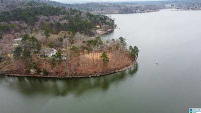 /international/us/lake-ridge-point-lot-17-talladega-al-110098163020/