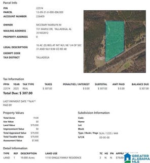 /international/us/renfroe-road-lot-1-talladega-al-110108573590/