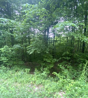 /international/us/6-fred-johnson-circle-lot-17-middlebury-vt-110104294468/